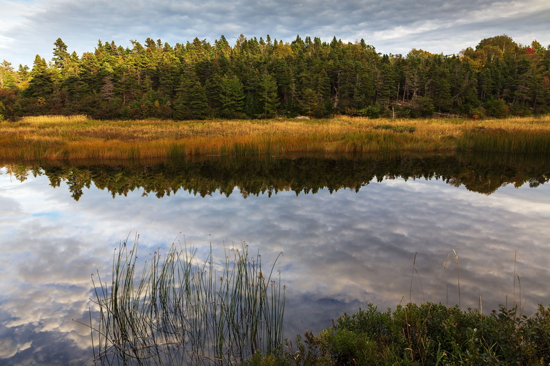 grass, bay, outdoors, clouds, exercise, tree, scenic, tourism, travel, golden, outdoor, forest, reflection, 1080P, cloud - sky, environment, lake, light