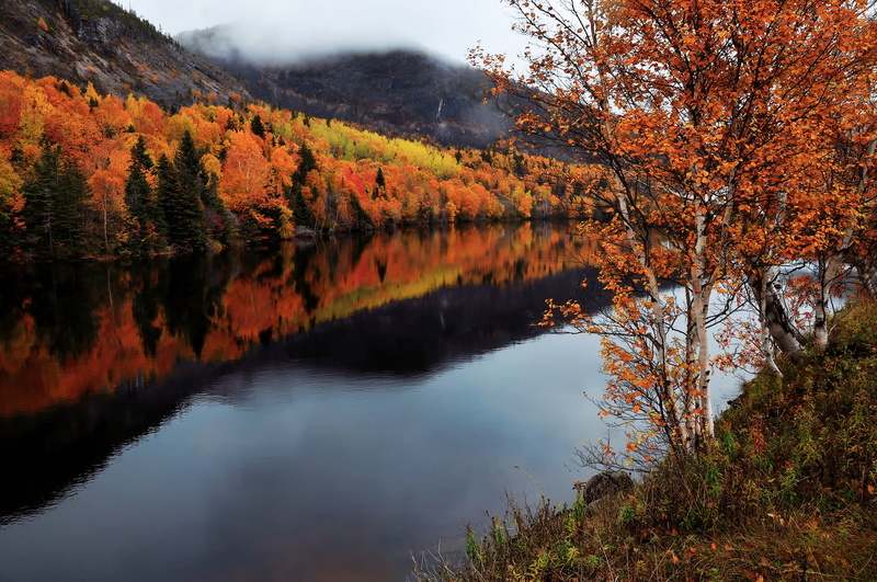 autumn, river, Humber River, Canada, Newfoundland and Labrador, 1080P