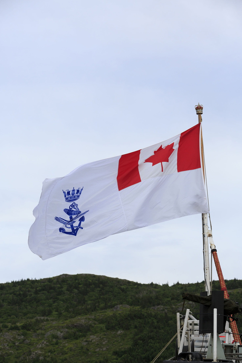 waving, ship, wind, plant, white color, star shape, canton, no people, flying, upon, newfoundland, crown, labrador, day, red, editorial, s, white, north
