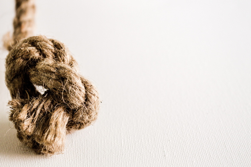 frayed, plant, simple, wedding, copy space, strand, studio shot, tie the knot, knot, string, softness, animal hair, cord, burlap, macrame, white background