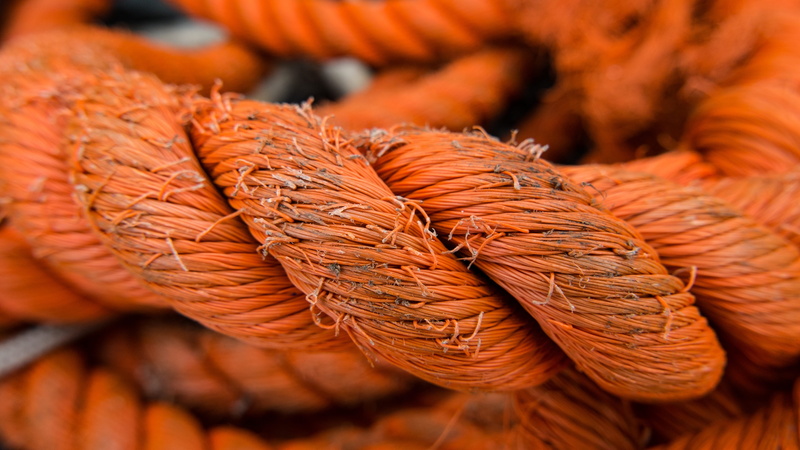 food and drink, twisted, pattern, strength, fruit, orange color, natural condition, brown, close-up, large group of objects, strong, autumn, orange, retail