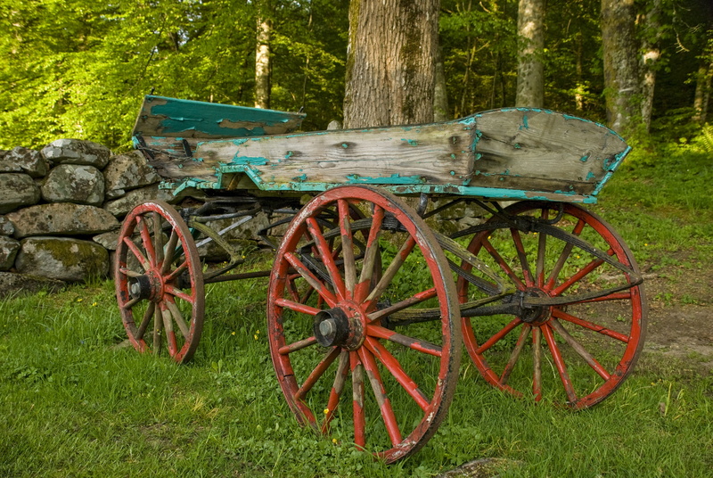growth, old-fashioned, flaking paint, green color, frayed, transportation, forest, no people, Cart, wagon wheel, day, wheel, wood - material, land, nature