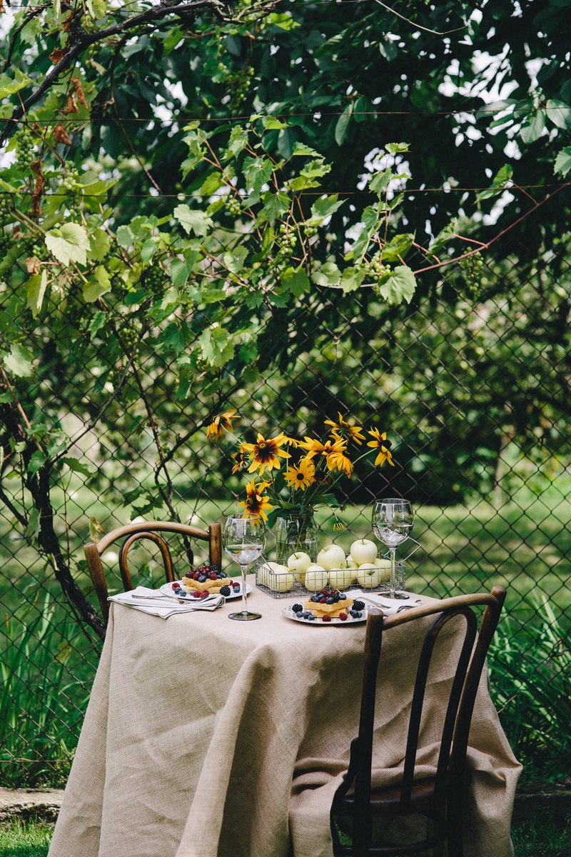 nature, chair, place setting, waffles, tree, picnic, tableware, flowers, no People, seat, summer, table, fruits, lunch, growth, Healthy, picnic table, day