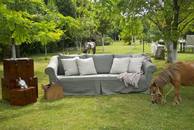 couch, product photo, beside, furniture, one animal, livestock, land, composition, mammal, domestic animals, souvenir, beautiful, interior architecture