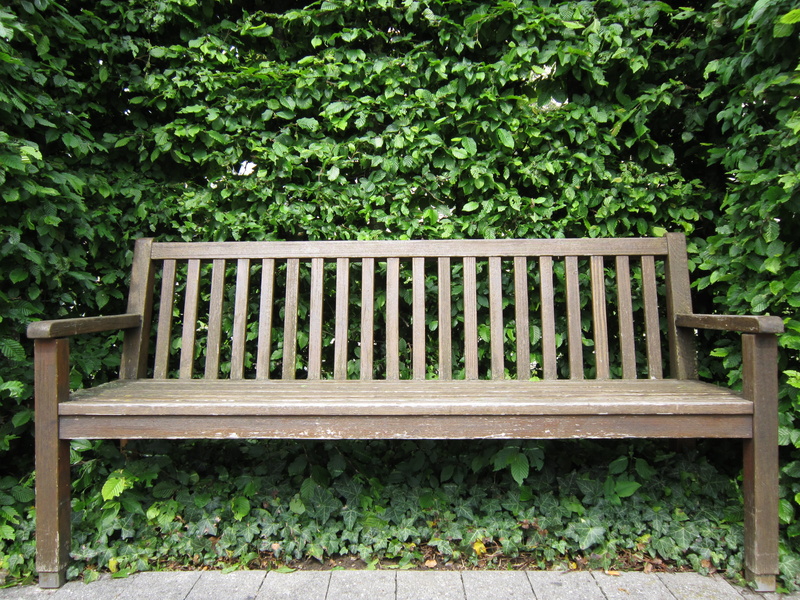 bank, 4K, peace, near, land, park, nature, no people, green Color, tree, leaf, bench, plant, growth, day, barrier, park bench, park - Man Made Space, seat
