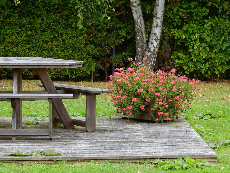 recovery, flower, resting place, no people, bank, seat, wood, bench, springtime, garden, wooden bench, out, wood - Material, rest, park bench, wooden table
