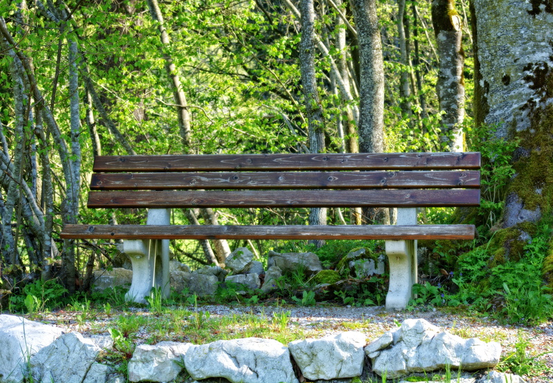 beauty in nature, tree trunk, woodland, woods, landscape, empty, day, summer, land, rest, wood, trunk, green color, garden, absence, park, grass, forest
