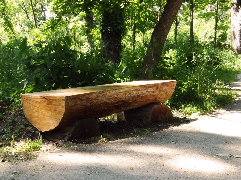trail, furniture, outdoor, solitude, day, scene, outdoors, no people, place, road, leisure, park - Man Made Space, wood, woods, walk, outside, sunlight