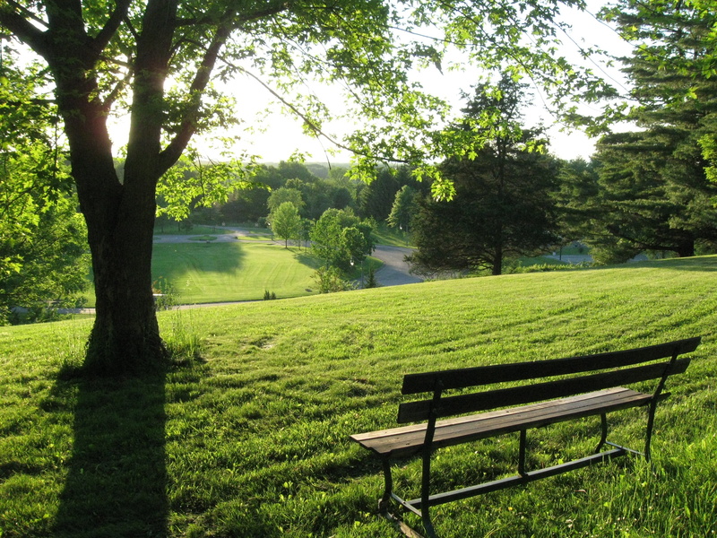 countryside, outdoors, scenics, field, sunlight, tranquil Scene, meadow, no People, seat, day, plant, growth, land, absence, park bench, grass, 2K, black