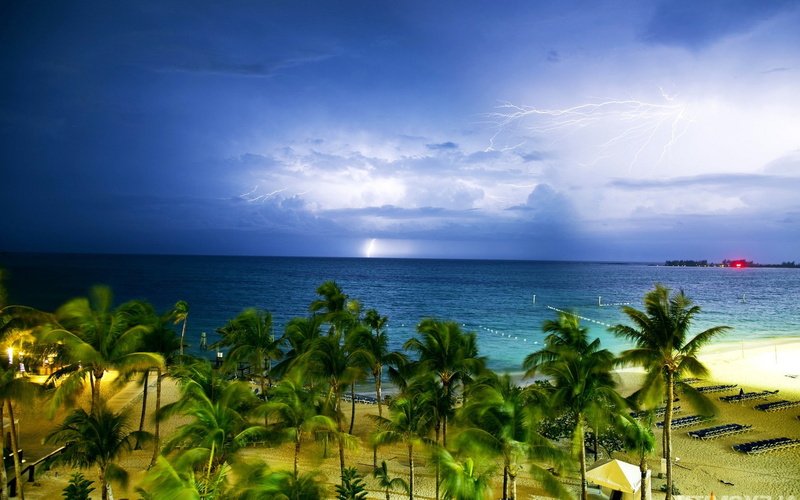 land, blue, beauty in nature, outdoors, travel destinations, tranquility, palm tree, beach, sky, horizon, nature, tropical climate, horizon over water