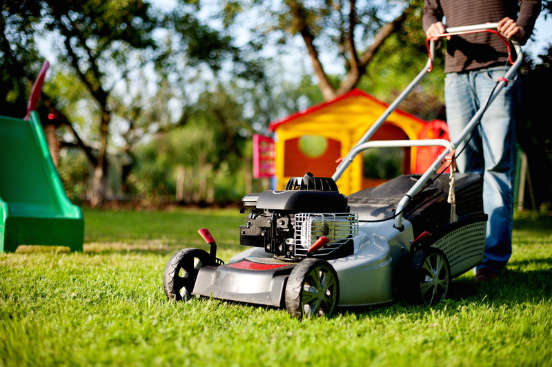 surface level, people, focus, person, plant, green, one person, adults only, photography, 5K, day, gasoline engine, selective, bizarre, adult, lawn, gardening