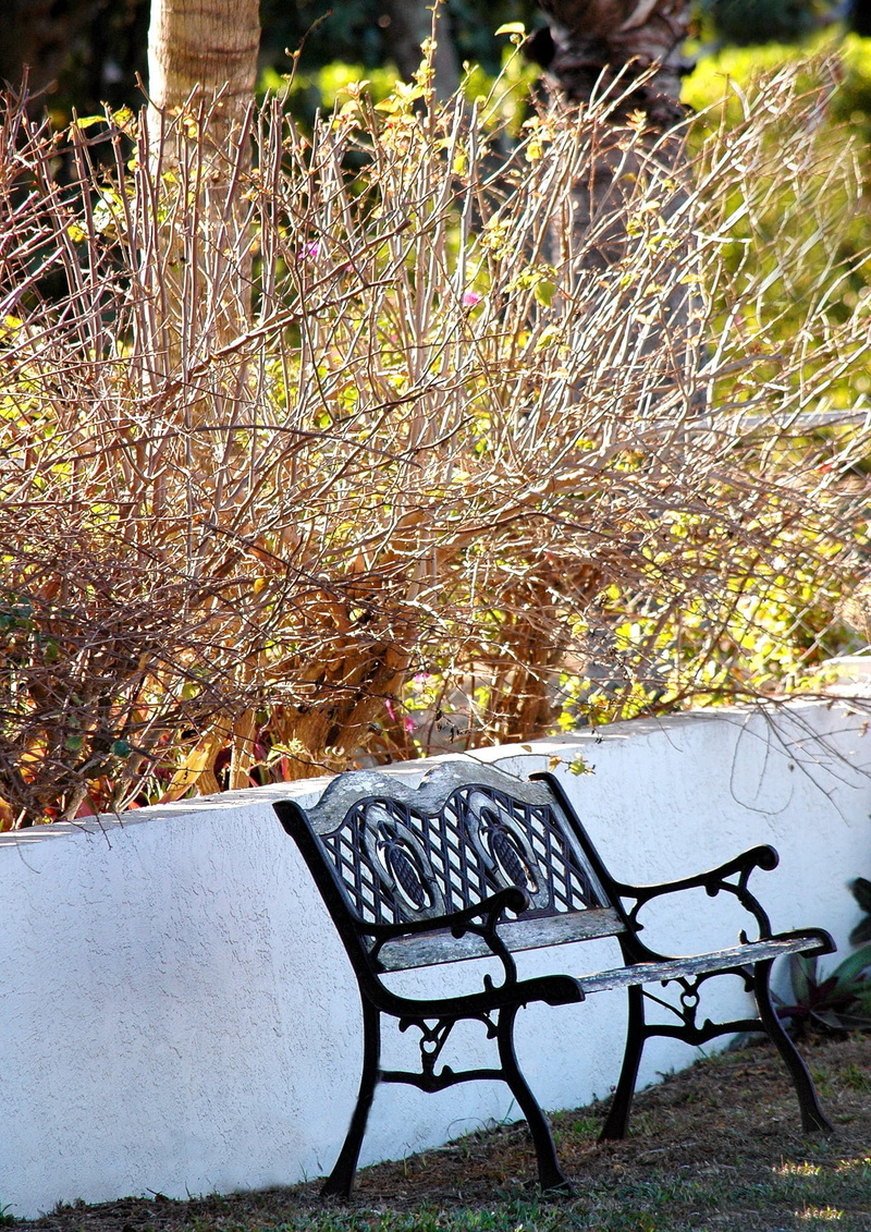 furniture, park, tranquility, peaceful, change, chair, grass, Bench, park - Man Made Space, tranquil, tranquil scene, path, Garden, Fall, plant, leisure