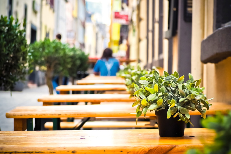 leaf, built structure, outside catering, dining tables, spices, road, seats, chairs, seating, wood - material, cafe, cozy, 4K, wooden, growth, top, sage