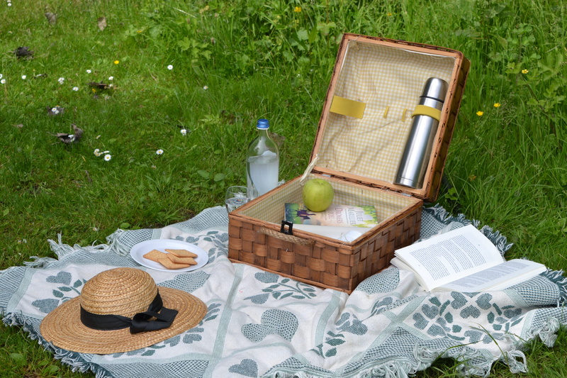 book, spring, grass, sun, hat, basket, nature, green, high angle view, day, container, absence, vacation, reading, brown, romantic, household equipment
