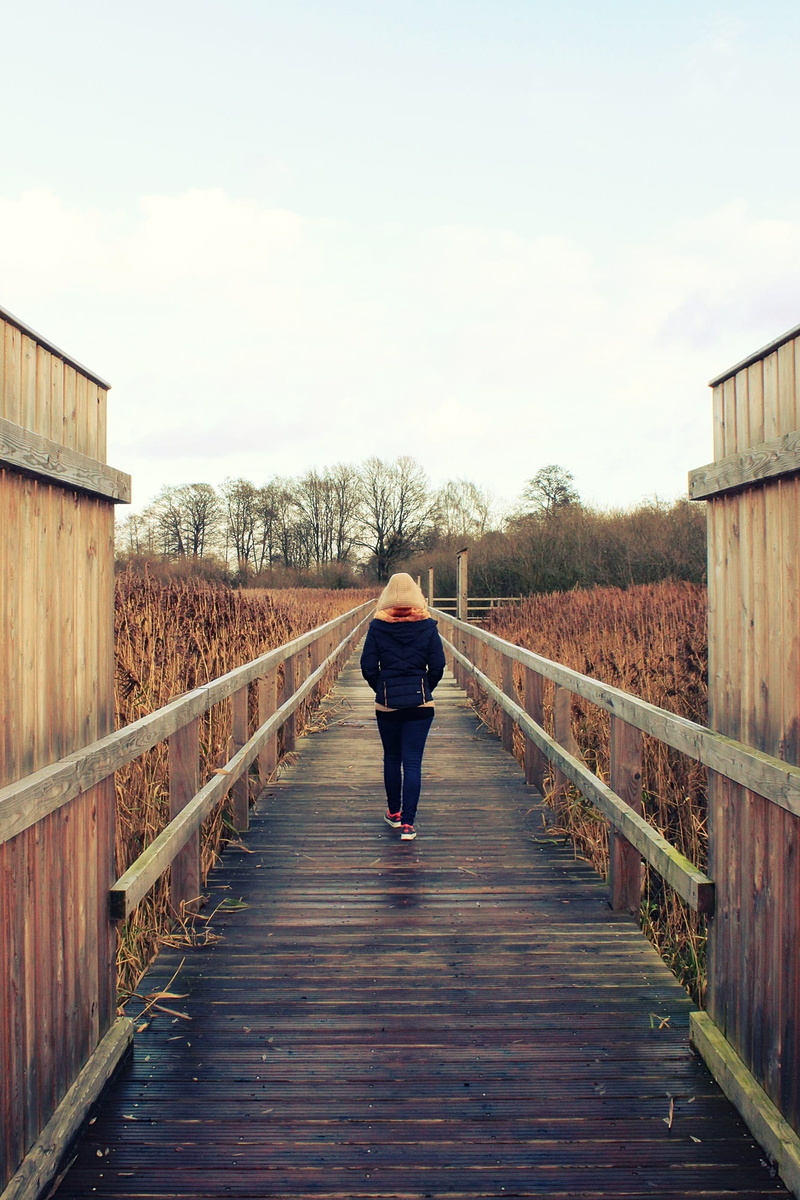 move, outdoors, wooden bridge, melancholic, weather, the way forward, web, pants, lifestyles, denim pants, rainy, direction, adult, mood, black, reed, plant