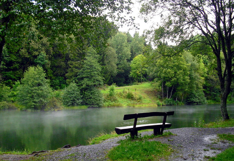 front, away, autumn, growth, tranquility, park, beauty in nature, relaxation, hochrhoen, trees, nature, green color, scenics - nature, river, morning, rhön