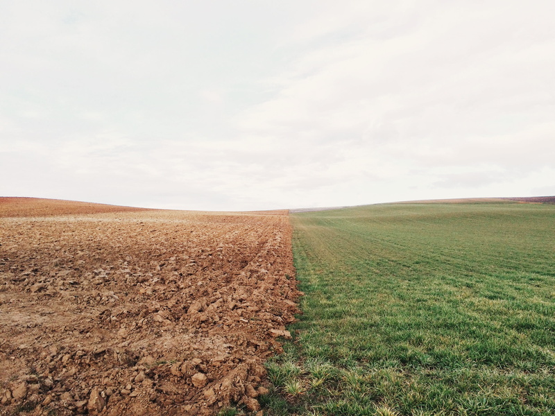 beauty in nature, dirt, cloud - Sky, agriculture, landscape, environment, scenics - nature, tranquility, wheat, summer, grass, farm, grass field, green Color