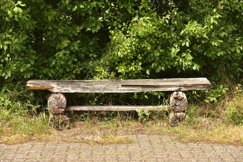 leaf, bench, Seat, green, wooden bench, near, growth, old bench, green color, bushes, seating furniture, field, table, park, grass, sun, tranquility, no people