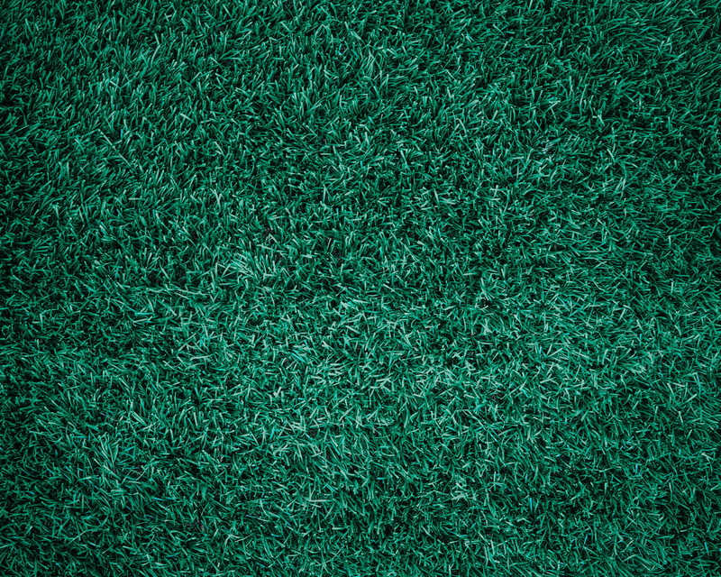 lifestyle, lawn, high angle view, growth, full frame, day, closeup, environment, photo, golf, lay, no people, backgrounds, beautiful, flat, clean, yard