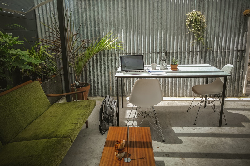 growth, 4K, padded, chair, decor, patio, green, nature, indoors, day, laptop, desk, sofa, window, technology, furniture, workspace, wood - Material, Life