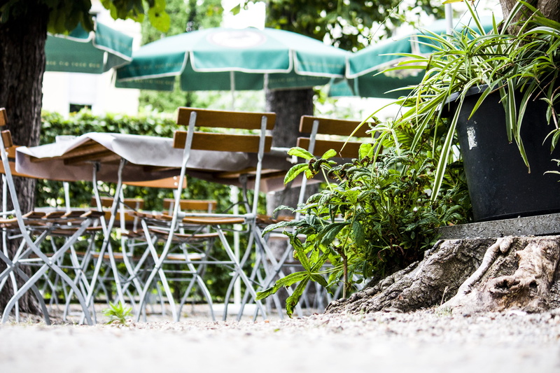 out, beer, cozy, land, nature, selective focus, tree, wood - material, drink, focus on foreground, chair, restaurant, chairs, eat, sunlight, outside catering