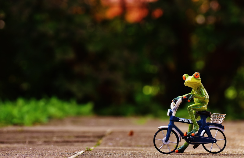 land vehicle, frog, focus on foreground, activity, side view, bicycle, outdoors, sport, funny, day, 5K, riding, motion, road, street, animal themes, full length