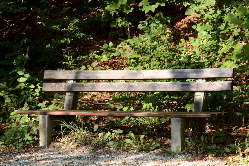 click, holiday, nature, wood - material, growth, plant, bench, forest, park - man made space, rest, park, park bench, day, recovery, absence, sunlight