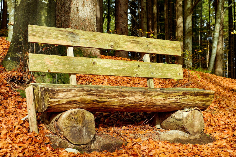 wood - material, park, outdoors, trunk, park bench, nature, tree trunk, rest, chair, timber, plant, no people, bank, old bench, contemplation, bench, daytime