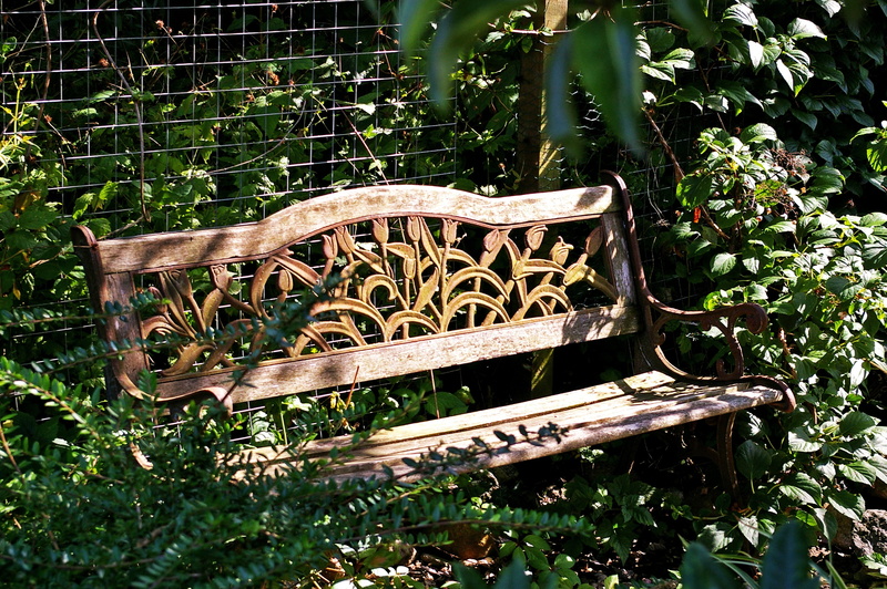 seat, wood - material, sunlight, grass, park, plant part, garden, obsolete, metal, sunshine, field, nature, rest, ornament, 2K, no people, leaf, growth