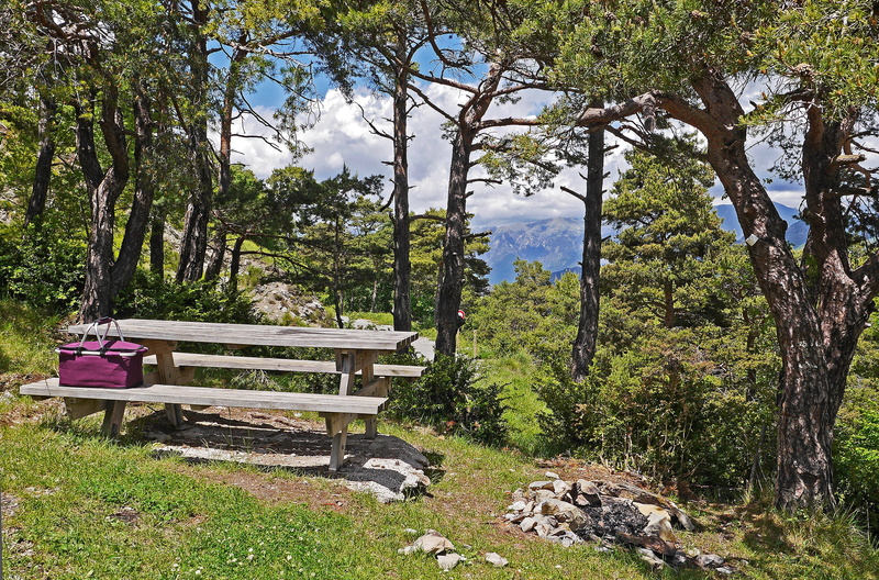 hiking, growth, plant, view, seating arrangement, tree trunk, green color, landscape, maritime alps, nature, non-urban scene, table, scenics, park, pine