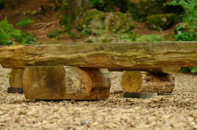 brown, out, recovery, timber, rest, benches, land, field, close-up, wooden bench, nature, tree, focus on foreground, click, silent, bench, log, seat, sunlight