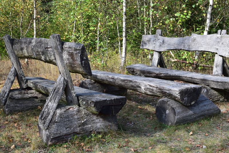 wooden bench, idyllic, resting place, tranquility, seat, out, forest, day, old, 5K, grass, wood, trees, plant, green color, tree, bench, history, click