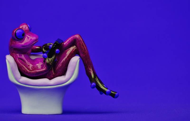 close-up, coziness, copy space, no people, purple, pc, sweet, pink color, furniture pieces, vegetable, tablet, figure, octopus, sit, healthy eating, computer