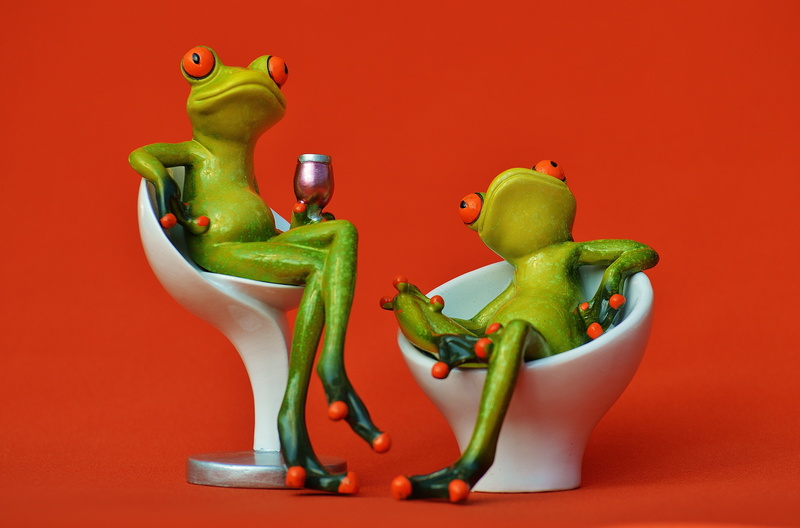 choice, pepper, vegetable, spice, talk, chat, freshness, sitting, celebrate, studio shot, food, chairs, funny, cute, food and drink, chick, creativity