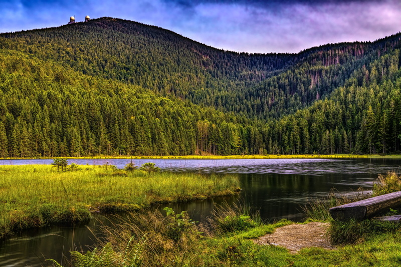 no people, bavarian forest, woodland, forest, bank, sky, kleiner arbersee, trail, remote, tree, idyllic, non-urban scene, nature, environment, bergsee