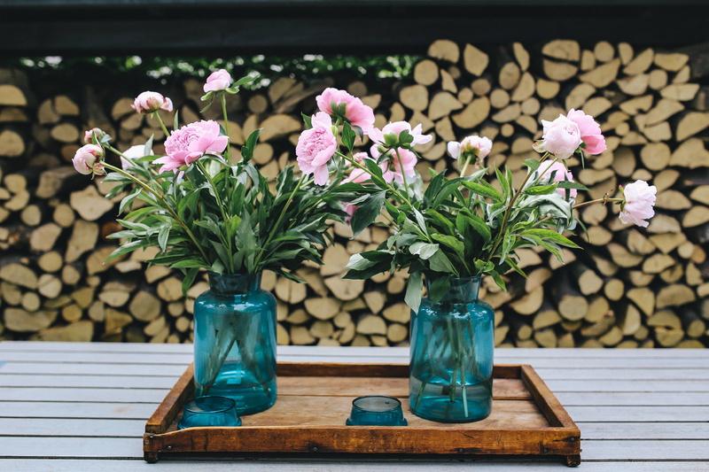 plant, flowers, wooden, pink color, flower head, summer, nature, spring, springtime, freshness, focus on foreground, petal, garden, tray, outdoors, beauty in nature
