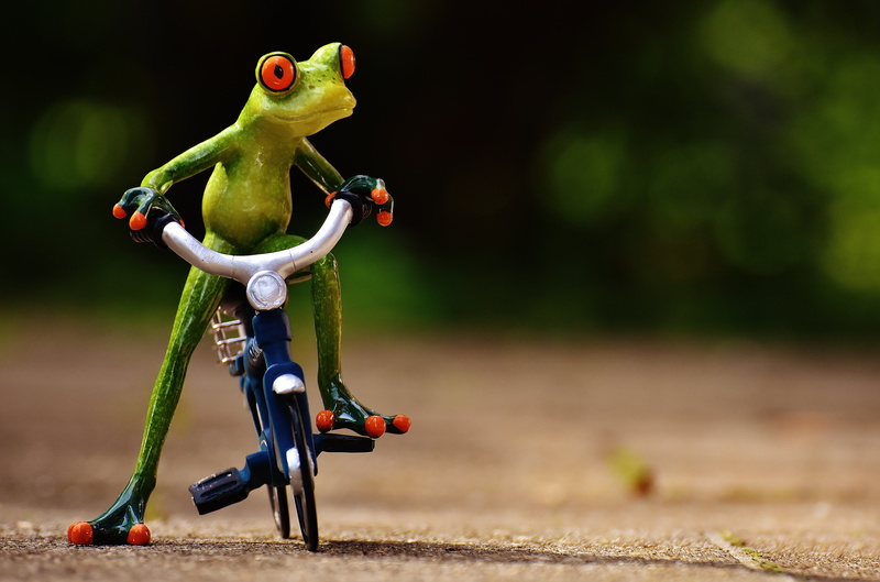 close-up, fun, childhood, outdoors, toy, animal themes, funny, red, focus on foreground, representation, photography, creativity, nature, selective, full length