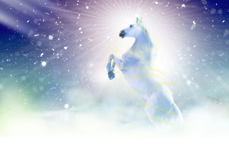 first snow, nature, young adult, lens flare, legs, apassionata, motion, dream, adult, space, snowboarding, animal, effort, 5K, horse, standing, outdoors