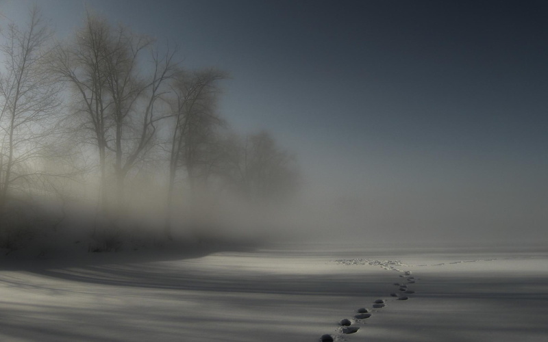 wintry, illustration, winter, fog, footprints, field, gray, nature and landscapes, 1080P, trees, sand