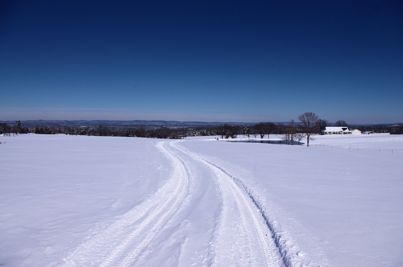 covering, copy space, scenic, tranquil scene, clear sky, fresh, cold, blue, winter, frozen, rural, snow, day, landscape, nature, wintry, 4K, white color