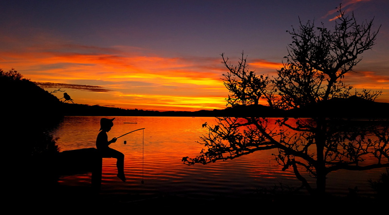 holiday, beauty in nature, waterfront, waters, plant, recover, mood, outdoors, tranquility, cloud - sky, child, reflection, relax, fishing pond, summer