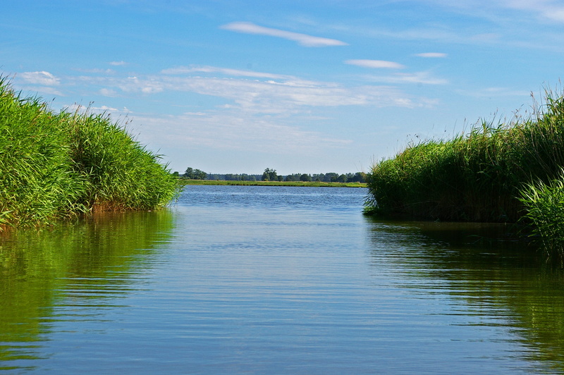 enjoy, reflection, sunshine, holidays, hobby, silent, idyll, fish, riems, no people, leisure, Reed Belt, Landscape, cloud - sky, rest, grow, tranquil scene