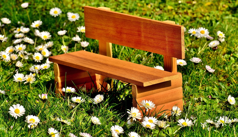 bank, outdoors, 5K, beauty in nature, idyllic, garden, resting place, springtime, rest, field, green color, brown, sit, plant, summer, break, wooden, green