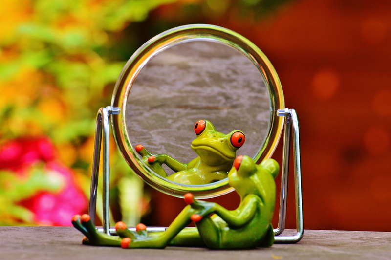 fruit, mirror, green, looking, art and craft, fun, cute, nature, healthy eating, jar, food, figure, funny, green color, frog, container, animal themes