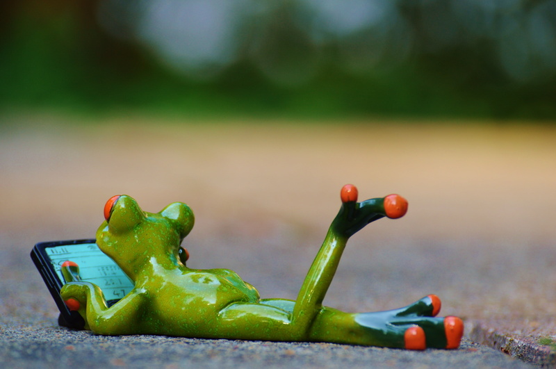 funny, green, rest, plant, outdoors, cute, vegetable, food, animal, surface, sweet, relaxed, toy, lying, 4K, day, selective focus, beach, land, figurine