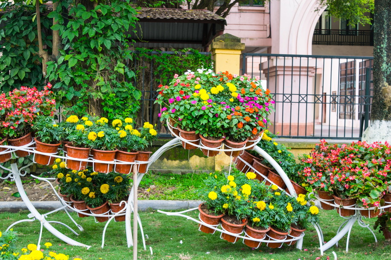 decorative, growth, tree, leafed, built structure, design, way, flora, walk, seat, freshness, bloom, greenery, architecture, mae fah luang, designed, park