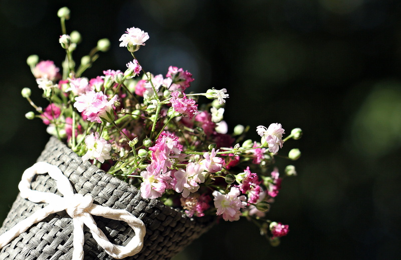 romantic, background, mothers day, ornamental plant, flower arrangement, bunch of flowers, close-up, fragility, greeting card, beauty in nature, valentines day