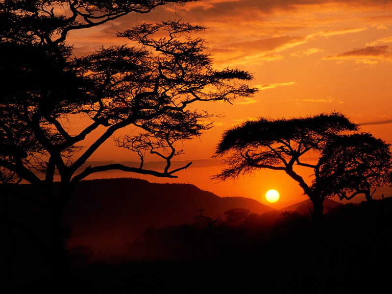 720P, Africa, sunset