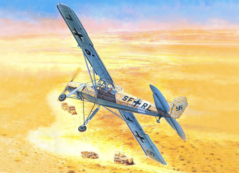 Luftwaffe, World War II, airplane, Germany, Fieseler Fi 156 Storch, military, Military Aircraft, aircraft, 480P