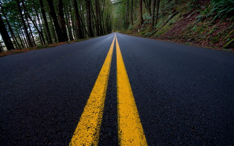 symbol, transportation, forest, vanishing point, marking, 720P, asphalt, plant, diminishing perspective, road, tree, dividing line, sign, no people, direction